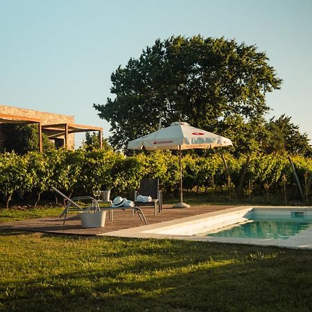 Pizzorno Lodge & Wine Progreso Екстер'єр фото