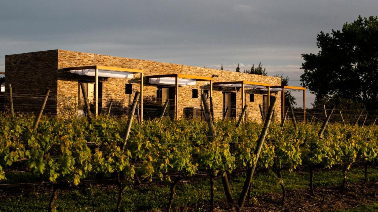 Pizzorno Lodge & Wine Progreso Екстер'єр фото
