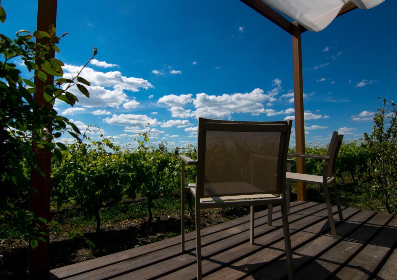 Pizzorno Lodge & Wine Progreso Екстер'єр фото